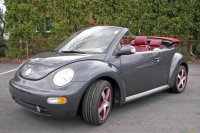 BEETLE (57)